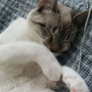 Meet your Posher, Seth